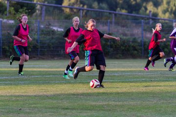 Bild 17 - B-Juniorinnen FSC Kaltenkirchen - SV Henstedt Ulzburg : Ergebnis: 2:0